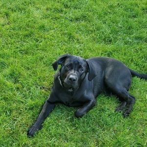 Meet your Posher, Kaitlyn